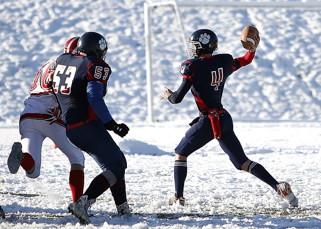 他去年为利 他去年为利