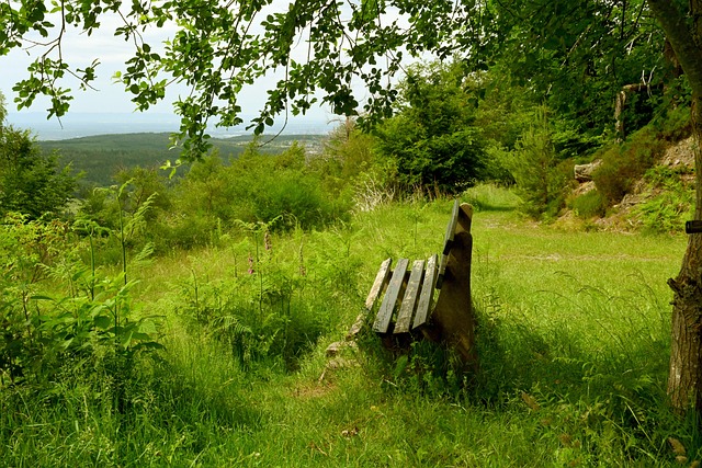 猛的速度 猛的速度