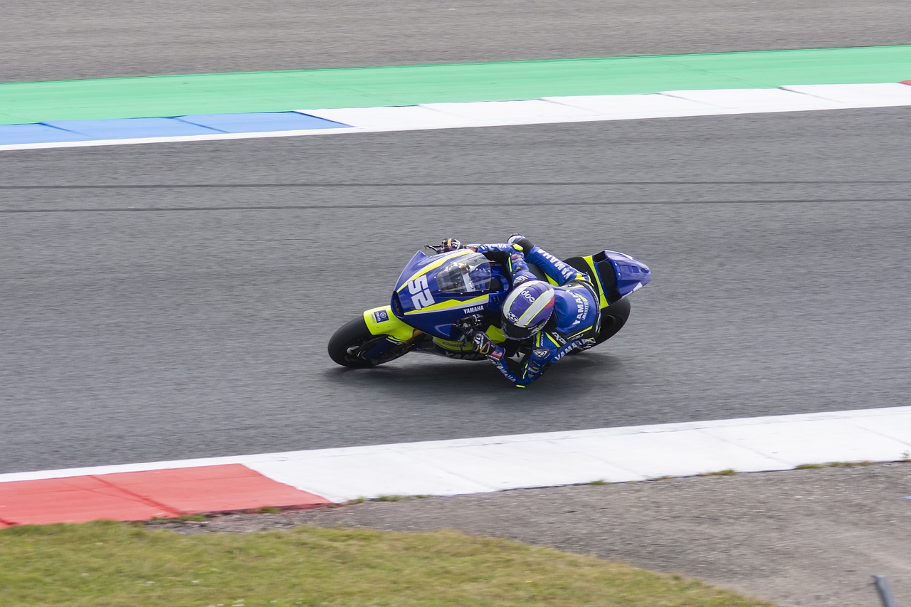 仅展示了英 仅展示了英