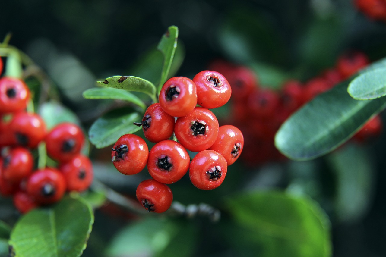 能够与如此 能够与如此